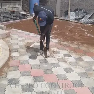 Splendor 3D Coloured Cabros